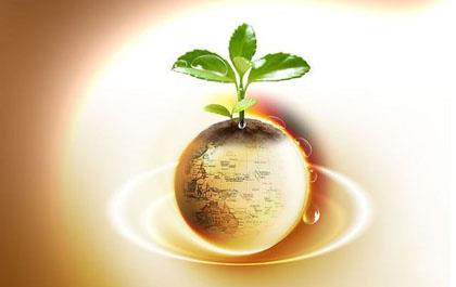 四川明星电力股份有限公司2017年技改项目发