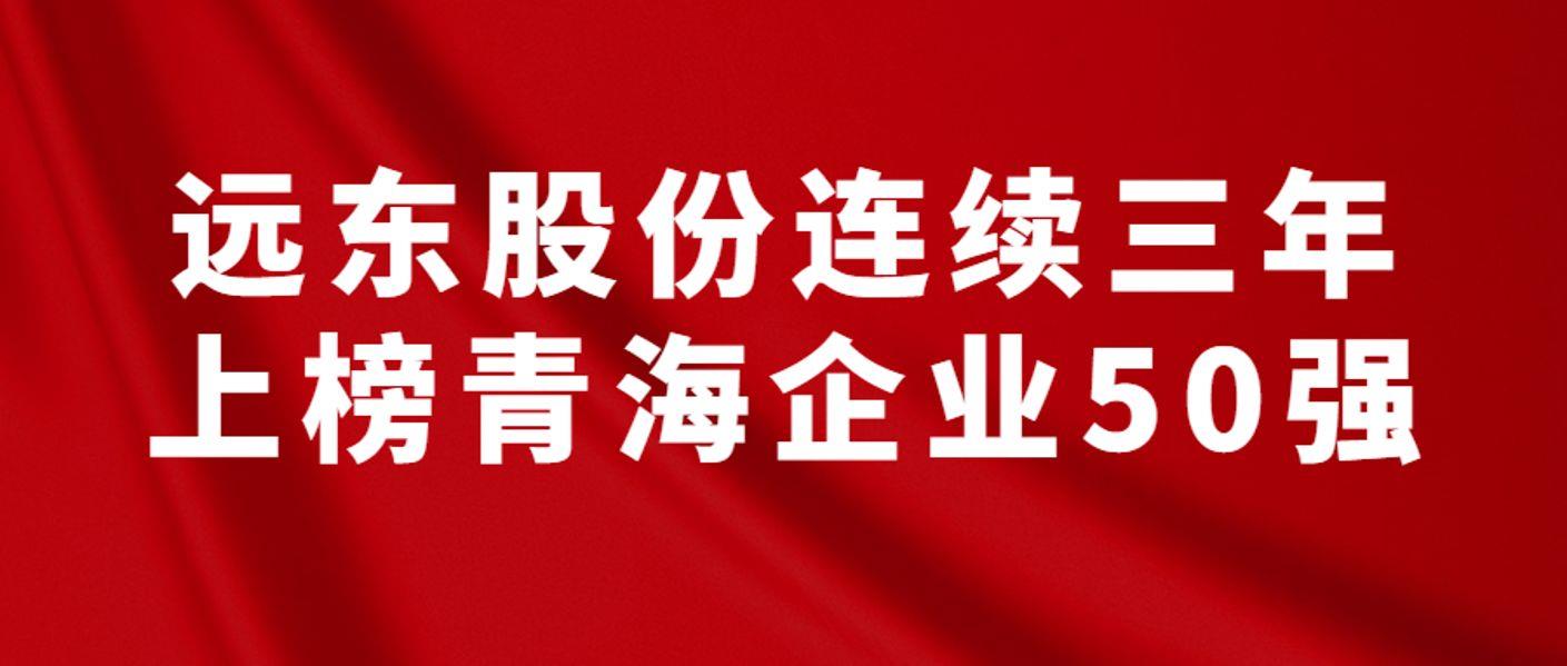 2021年青海企业50强名单公布！远东股份位列第5位