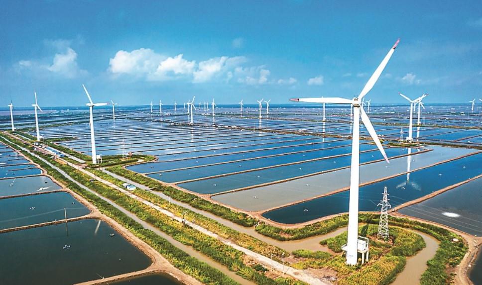 江苏盐城前十月新能源发电量203亿千瓦时 同比增长37%