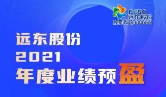 远东股份：预计2021年度净利润为45950万元到55100万元