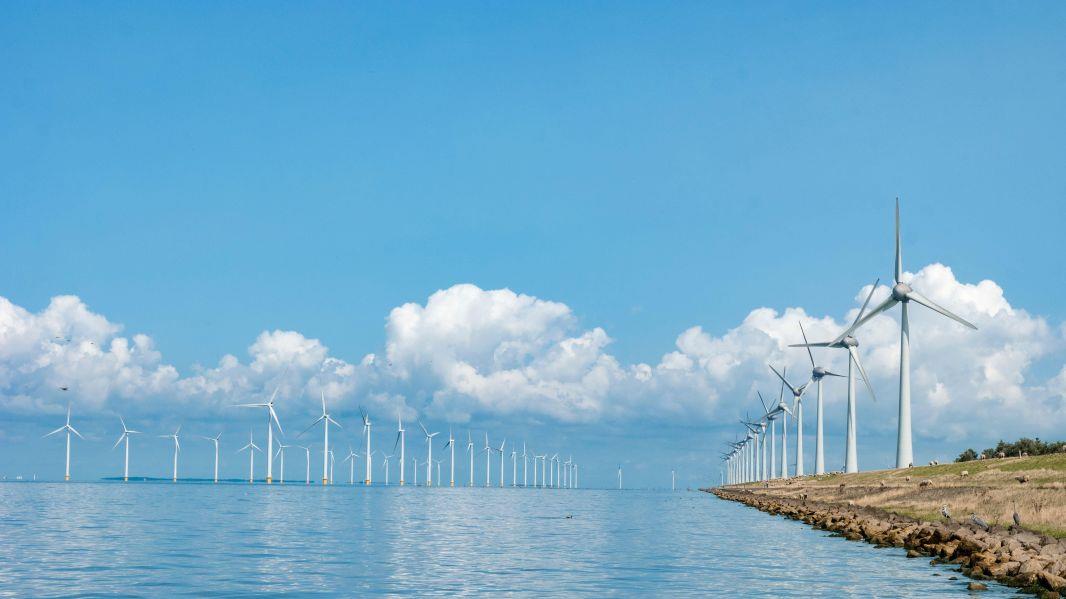 远东电缆：推进风电产业高质量发展，更好地服务“双碳”目标