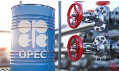 IEA：未来几个月OPEC+增产可能性低