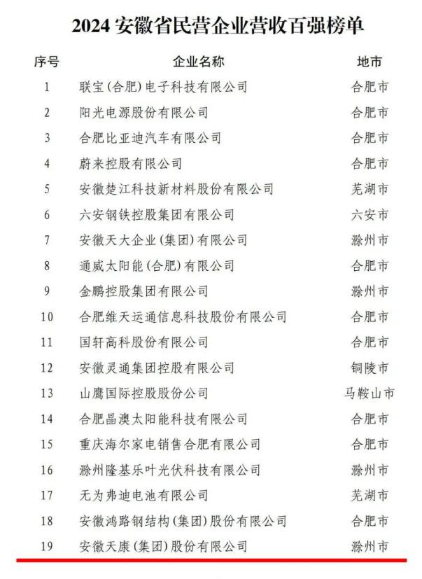 2024安徽省民营企业百强榜单发布，安徽天康集团荣登前列