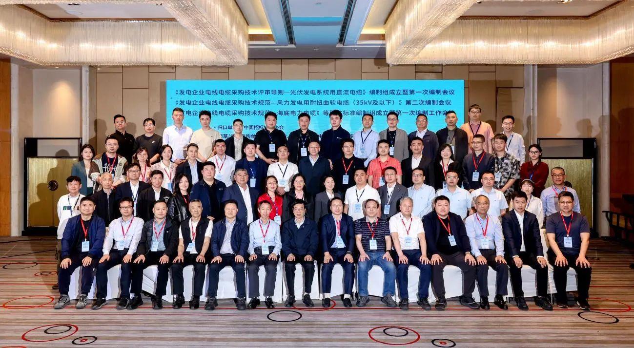 中国招标投标协会《发电企业电线电缆采购技术评审导则——光伏发电系统用直流电缆》等团体标准编制工作会在宜兴召开